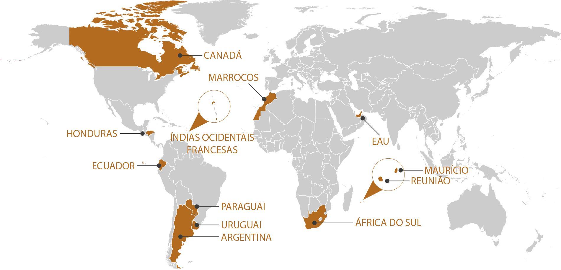 RGIS_FRANCHISE_WORLD_PT