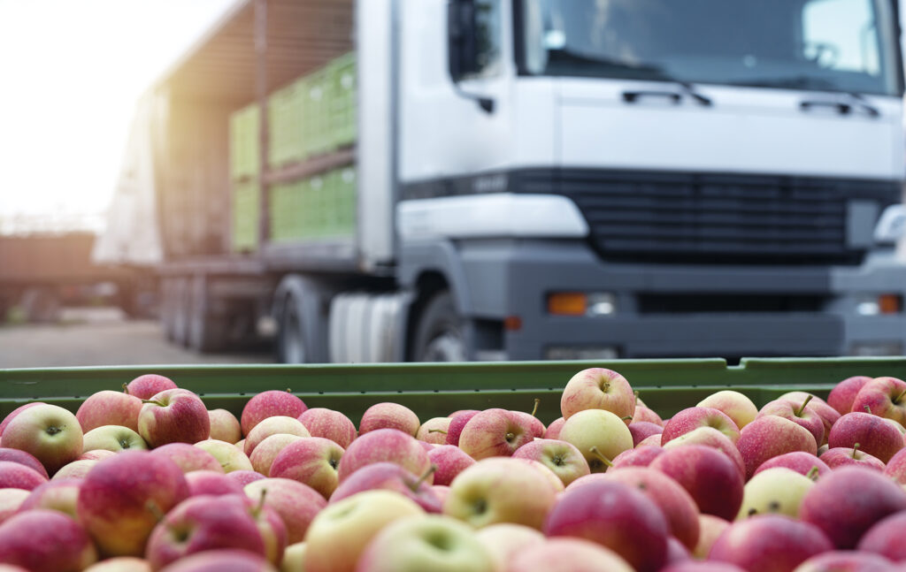 Ajudando a Reduzir o Desperdício de Itens Perecíveis